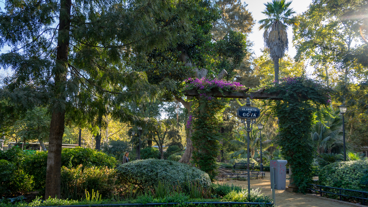 20171003 101336 , Sevilla, Andalusia, Spain